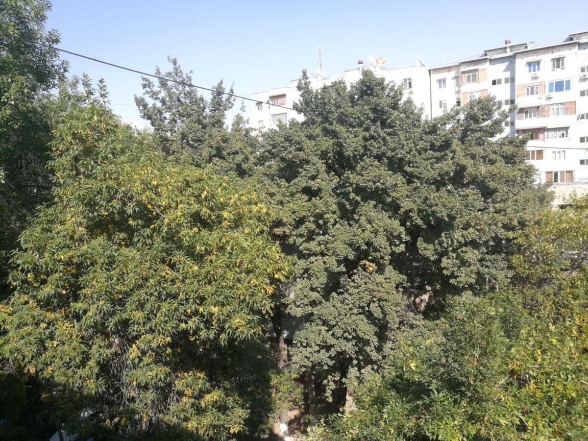 Apartment 2 Bed Room In The Center Апартамент 3-Х Комнатная В Центре Taşkent Dış mekan fotoğraf